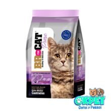 BR GATO ADULTO CASTRADO POLLO