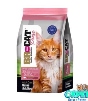 BR FOR CAT GATO ADULTO SALMON