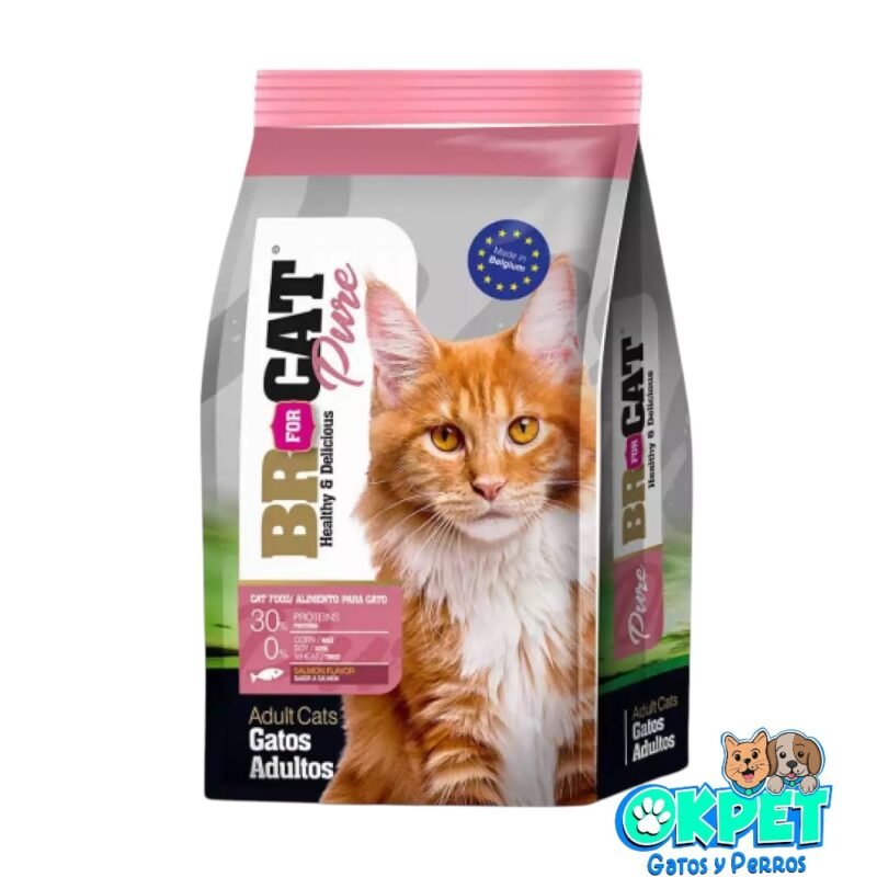 BR FOR CAT GATO ADULTO SALMON