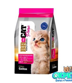 BR FOR CAT GATITO POLLO