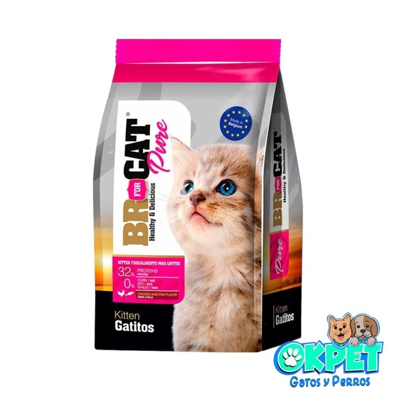BR FOR CAT GATITO POLLO