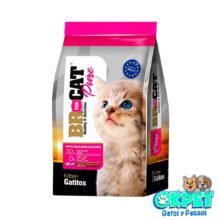 BR GATITO POLLO