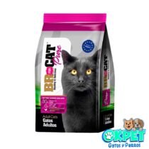 BR GATO ADULTO POLLO